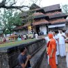 2012 GTS PSJi Ashwatha tree